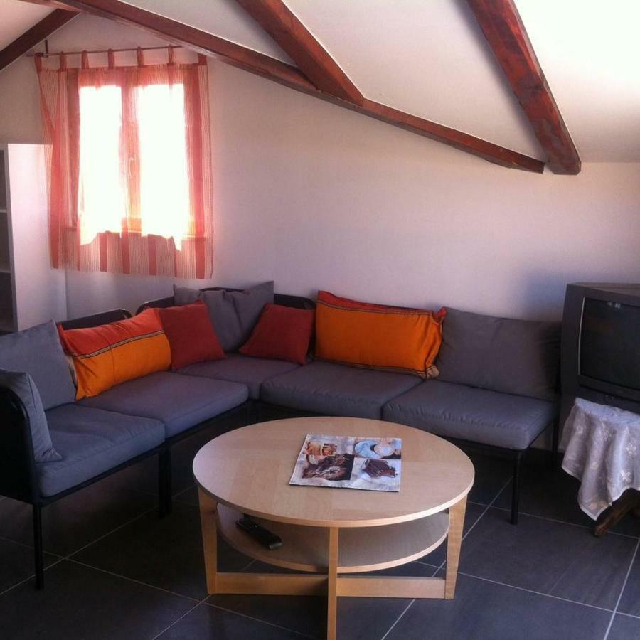 Delfin Apartment Novigrad  Luaran gambar