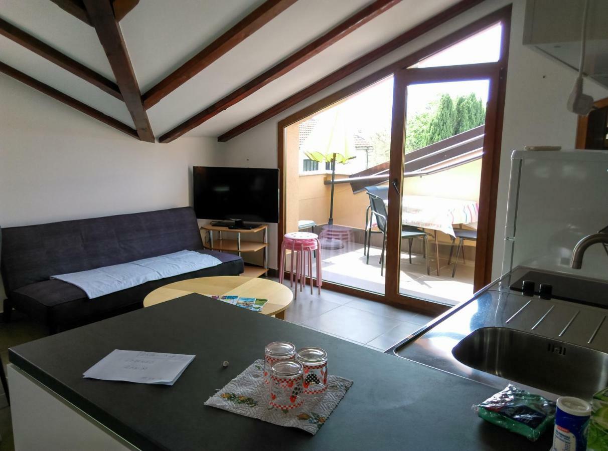 Delfin Apartment Novigrad  Luaran gambar