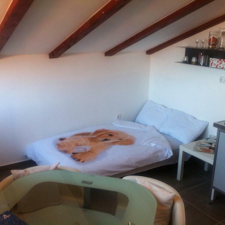 Delfin Apartment Novigrad  Luaran gambar