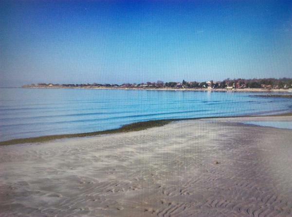 Delfin Apartment Novigrad  Luaran gambar