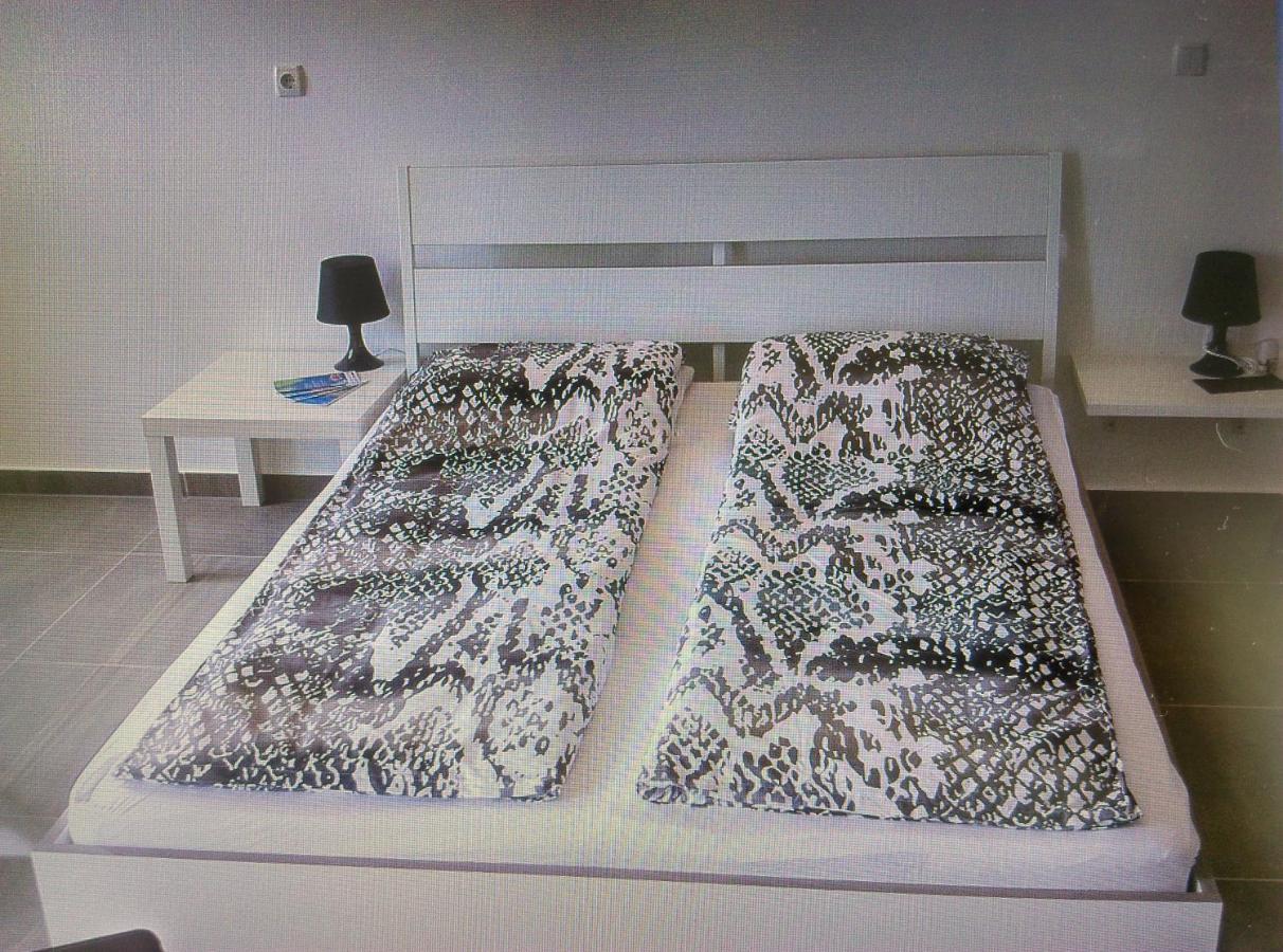 Delfin Apartment Novigrad  Luaran gambar